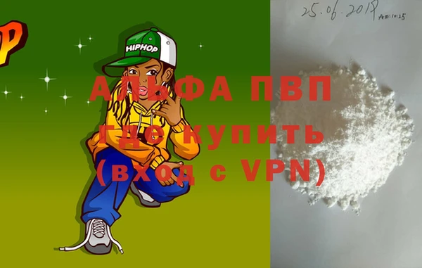 шишки Осташков