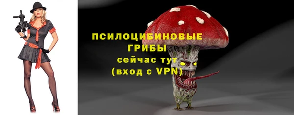 трава Осинники
