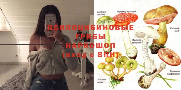 прущие крисы Абинск