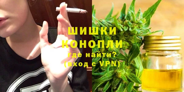 шишки Осташков