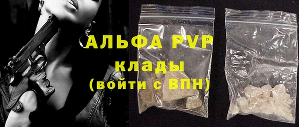 трава Осинники
