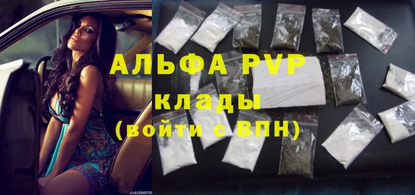 трава Осинники