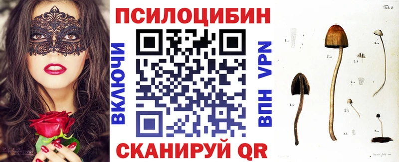 Псилоцибиновые грибы Magic Shrooms  Каменск-Шахтинский 